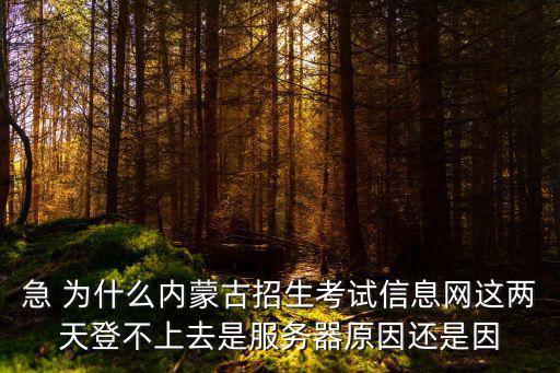 急 為什么內蒙古招生考試信息網這兩天登不上去是服務器原因還是因