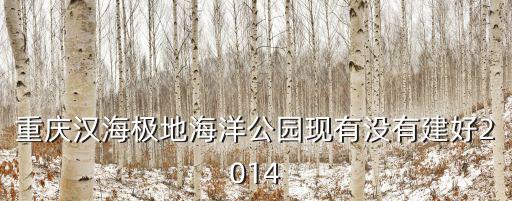 重慶漢海極地海洋公園現(xiàn)有沒有建好2014