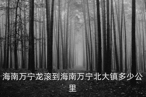北大鎮(zhèn)，海南省萬寧市萬寧市北大鎮(zhèn)內(nèi)羅村郵編是什么