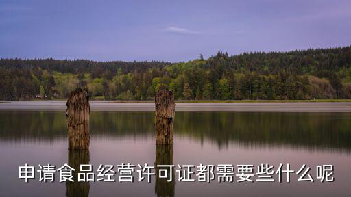 食品經(jīng)營許可證申請，食品經(jīng)營許可證怎么辦理需要什么材料還有營業(yè)執(zhí)照