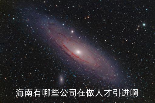 海南有哪些公司在做人才引進(jìn)啊