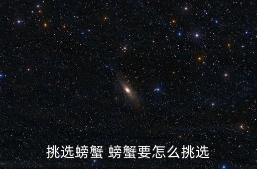 挑選螃蟹 螃蟹要怎么挑選