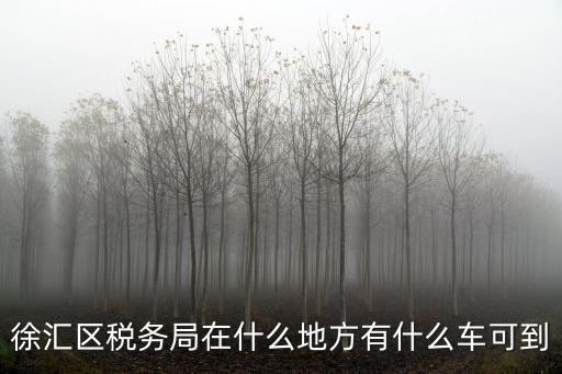 徐匯區(qū)稅務(wù)局，徐匯區(qū)稅務(wù)局在什么地方有什么車可到