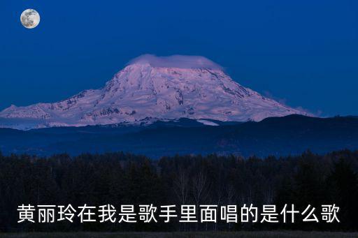 黃麗玲我是歌手，我是歌手中黃麗玲的經紀人是誰