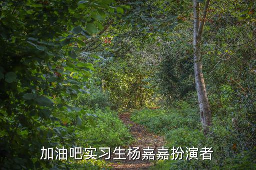 加油吧實(shí)習(xí)生楊嘉嘉扮演者