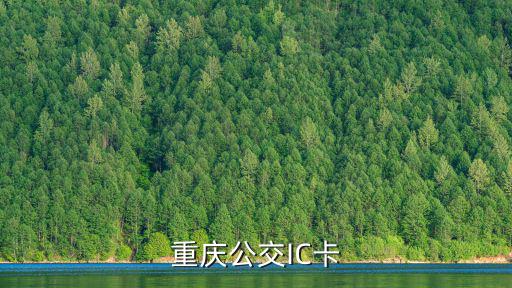 重慶公交IC卡