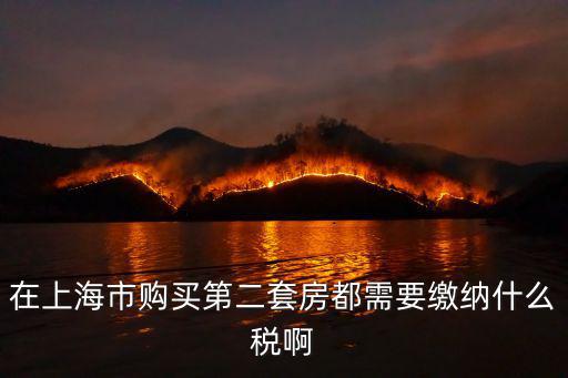 上海二套房契稅，上海二套房契稅