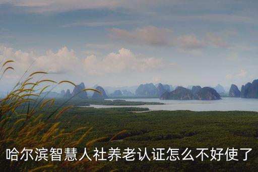 哈爾濱智慧人社養(yǎng)老認(rèn)證怎么不好使了