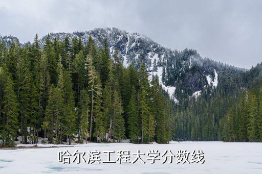 哈爾濱工程大學錄取分數線，請問今年哈爾濱工程大學了錄取分數線是多少