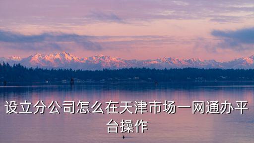 設立分公司怎么在天津市場一網通辦平臺操作