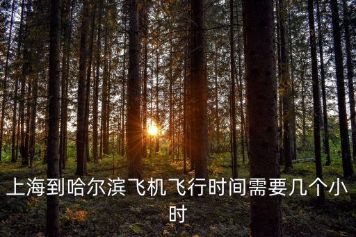 上海到哈爾濱飛機飛行時間需要幾個小時