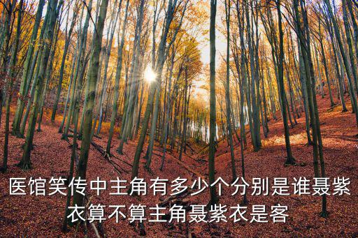 聶紫衣，醫館笑傳中主角有多少個分別是誰聶紫衣算不算主角聶紫衣是客