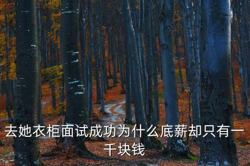 她衣柜，去她衣柜面試成功為什么底薪卻只有一千塊錢