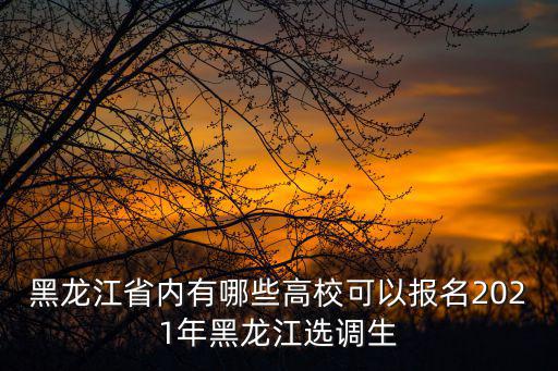 黑龍江省內有哪些高校可以報名2021年黑龍江選調生
