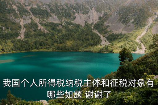 個人所得稅納稅人，18個人所得稅的納稅義務人區分為居民納稅人和非居民納稅人依據