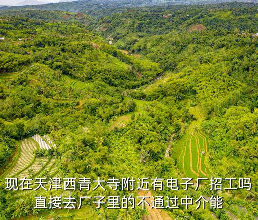 現在天津西青大寺附近有電子廠招工嗎直接去廠子里的不通過中介能