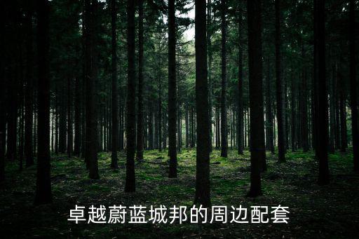 卓越蔚藍(lán)城邦的周邊配套