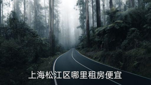 上海松江區租房，松江那里有房子租價錢在200到300之間的