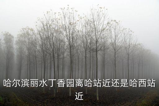 哈爾濱麗水丁香園離哈站近還是哈西站近
