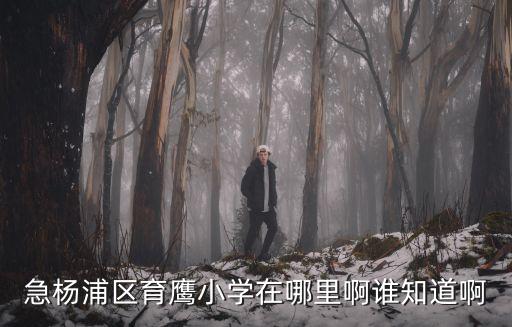 育鷹小學(xué)，急楊浦區(qū)育鷹小學(xué)在哪里啊誰知道啊