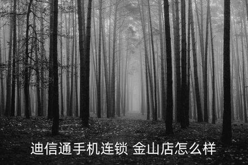 迪信通手機連鎖 金山店怎么樣