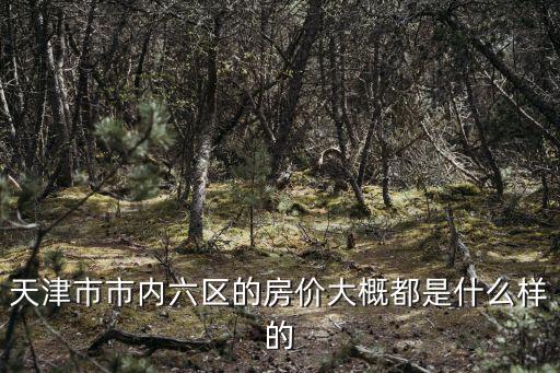 天津市市內(nèi)六區(qū)的房價大概都是什么樣的