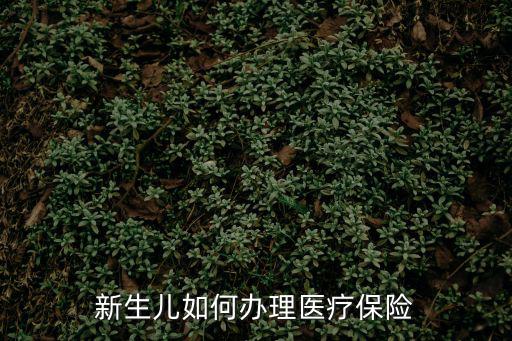 新生兒如何辦理醫療保險