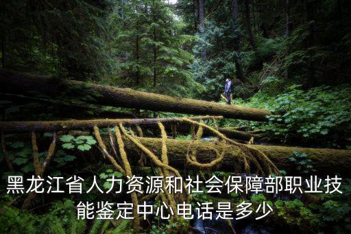 黑龍江省人力資源和社會保障部職業技能鑒定中心電話是多少