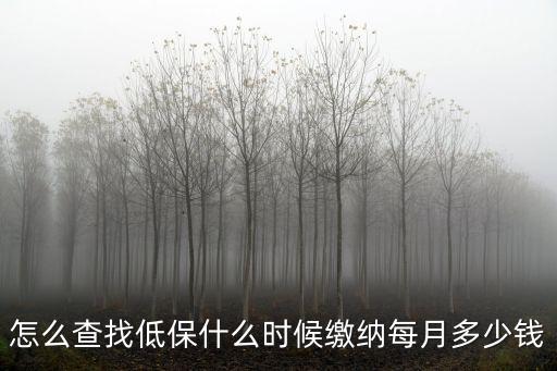怎么查找低保什么時(shí)候繳納每月多少錢