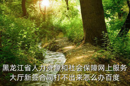 黑龍江省人力資源和社會保障網上服務大廳新簽合同打不出來怎么辦百度