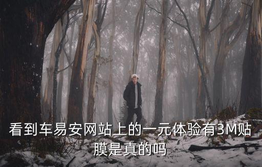 看到車易安網(wǎng)站上的一元體驗有3M貼膜是真的嗎