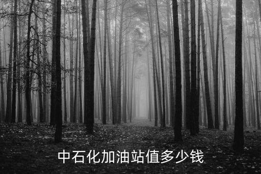 中石化加油站值多少錢(qián)