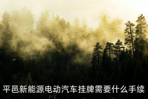 平邑新能源電動汽車掛牌需要什么手續