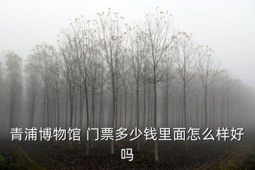 青浦博物館 門(mén)票多少錢(qián)里面怎么樣好嗎