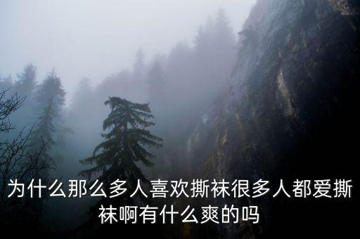 撕襪，韓國那個 撕 絲 襪 的綜藝節目 叫什么名字