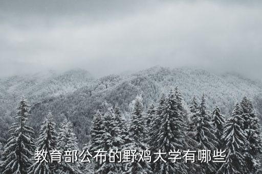 教育部公布的野雞大學(xué)有哪些