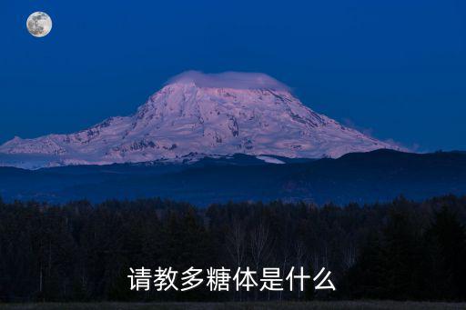 請(qǐng)教多糖體是什么