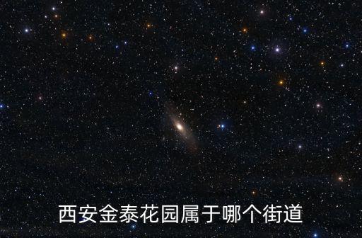 西安金泰花園屬于哪個街道