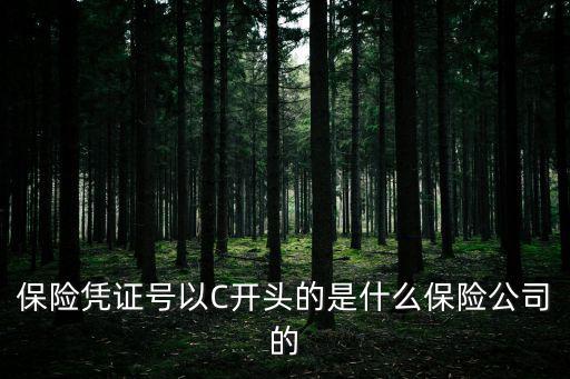 保險憑證號以C開頭的是什么保險公司的