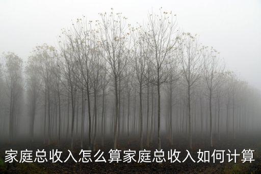 家庭總收入怎么算家庭總收入如何計算