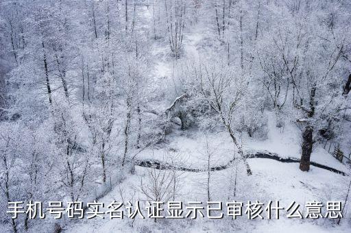 手機號碼實名認證顯示已審核什么意思