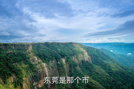 東莞是那個市