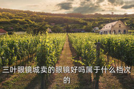 三葉眼鏡城賣的眼鏡好嗎屬于什么檔次的