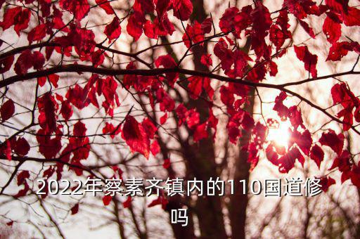 110國道，110國道臨河段955公里在哪里