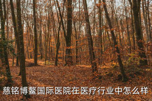 慈銘博鰲國際醫院在醫療行業中怎么樣