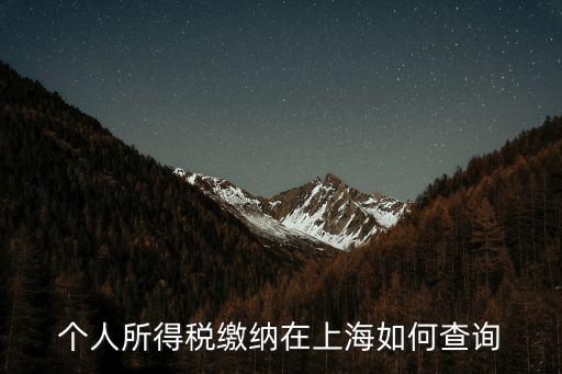 個人所得稅繳納在上海如何查詢