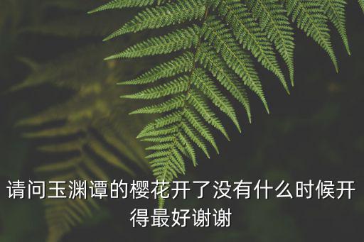 請問玉淵譚的櫻花開了沒有什么時候開得最好謝謝