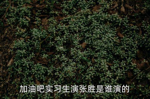 加油吧實(shí)習(xí)生演張勝是誰(shuí)演的