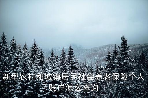 新型農(nóng)村和城鎮(zhèn)居民社會(huì)養(yǎng)老保險(xiǎn)個(gè)人賬戶怎么查詢