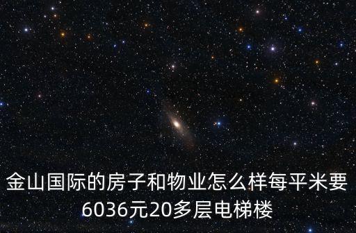 金山國際的房子和物業怎么樣每平米要6036元20多層電梯樓